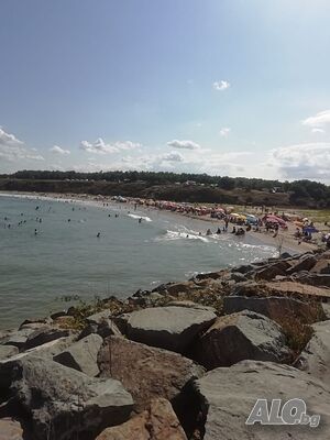 image_10