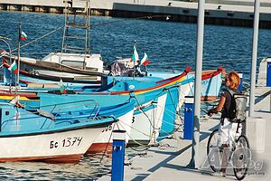 image_11