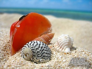 image_23