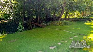 image_8