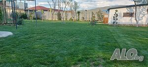 Косене на трева - райграс с моторна коса или косачка за гр. Шумен и селата
