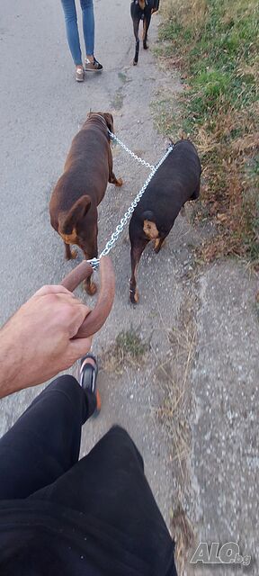 image_9