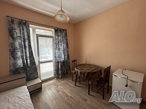 Стая в центъра на Пловдив