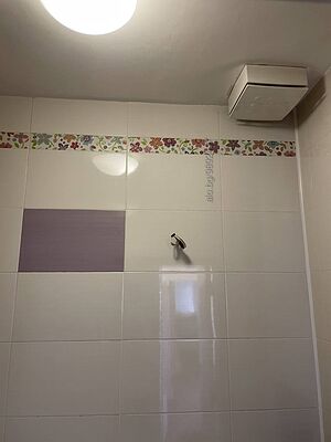 image_21