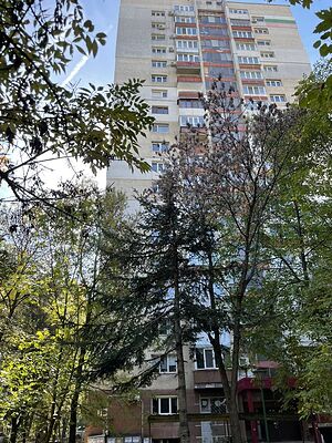 image_24