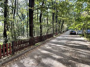 image_25