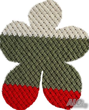image_6