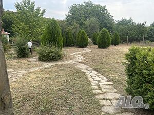image_5