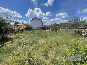 image_6