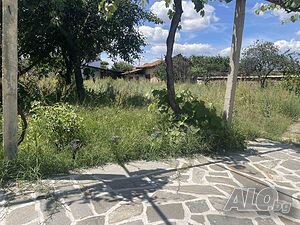 image_7