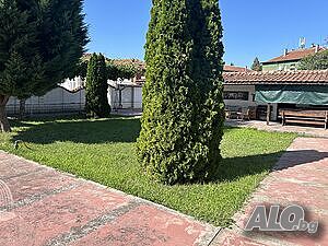image_11