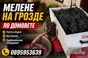 Мелене на грозде