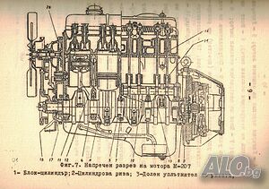 image_10