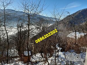 image_8