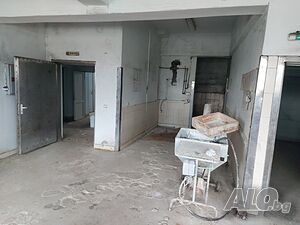 image_11