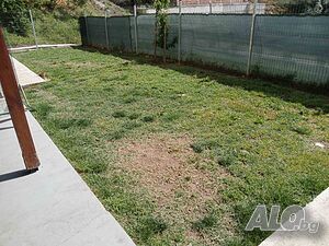 image_11