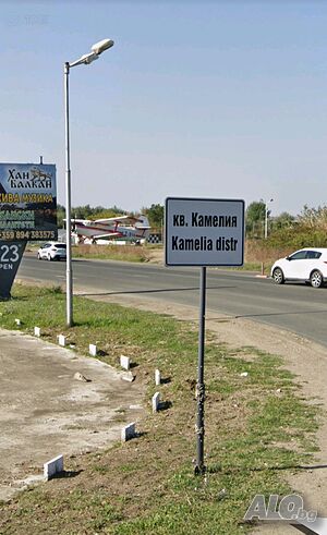 image_7