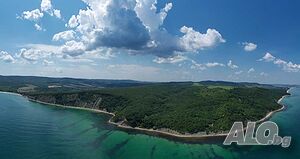 image_6