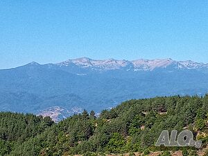 image_13