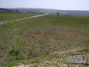 image_11