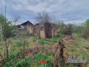 image_8
