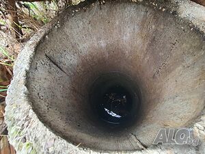 image_9