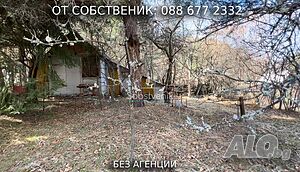 image_11