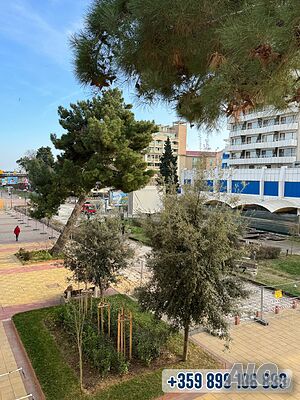 image_5