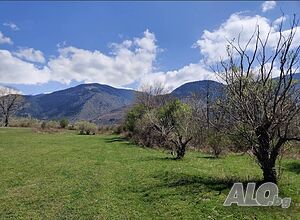image_12
