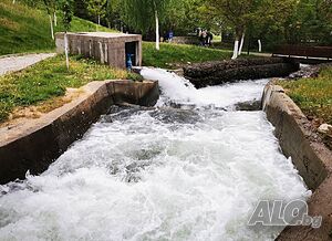 image_10