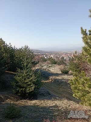 image_2