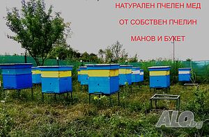 Мед, манов и букет от производител