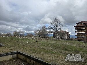 image_7