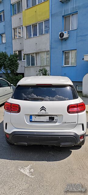 image_8