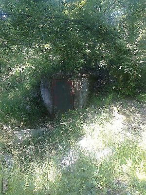 image_5