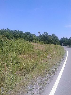 image_7