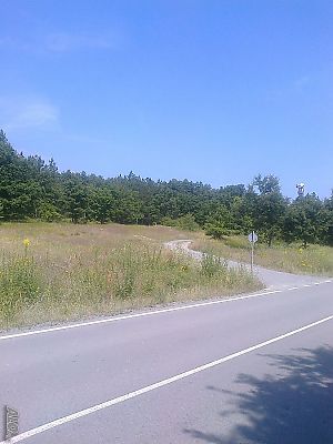 image_8