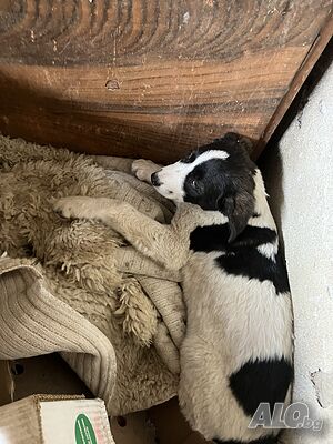 image_12