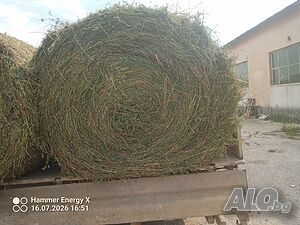 Рулонни бали сено със люцерна 150/120