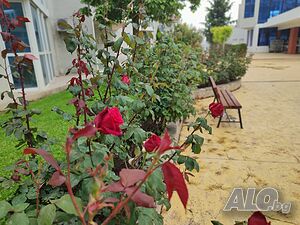 image_21