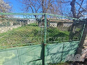 image_5