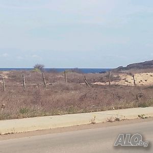 image_7