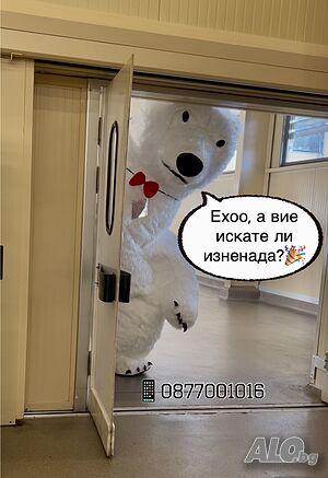 image_8