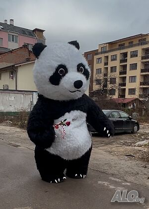 image_9