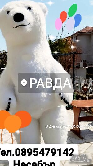 Гигантско Бяло мече изненада Несебър