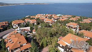 image_11