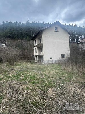image_6