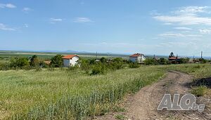 image_11