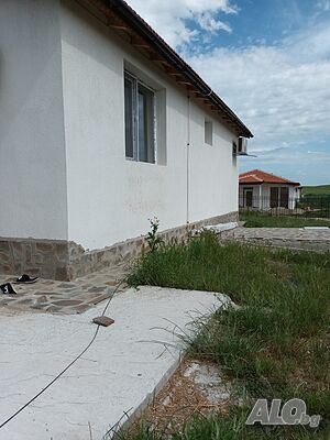 image_7