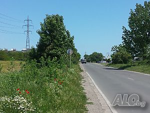 image_3